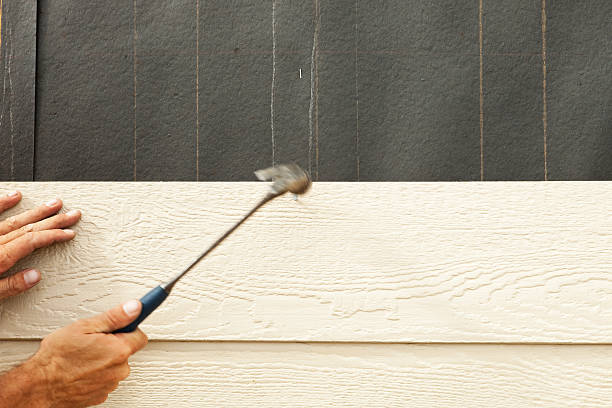 Best Insulated Siding Installation  in Blue Mountain, MS